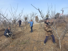 �������˹�����̬����155�ڣ�