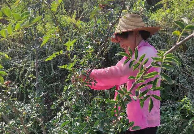 ��ƶ������̬����123�ڣ�