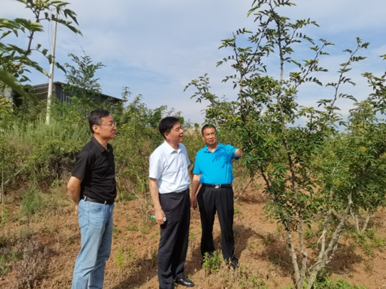 �������˹�����̬����135�ڣ�