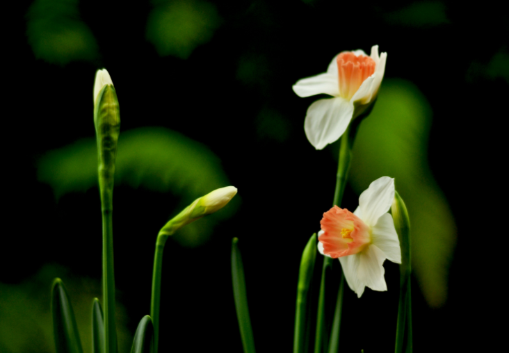 ���˶�����̬�Ļ������ʵ���ߡ��ƶ��ߣ���̬��Է��