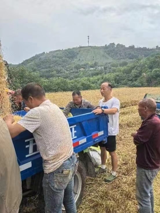 �������˹�����̬����158�ڣ�