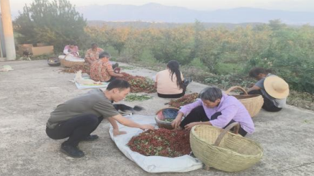 �������˹�����̬����172�ڣ�