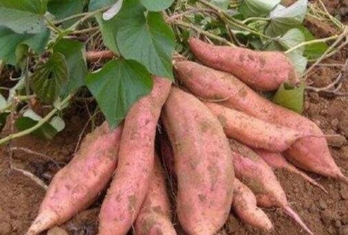 ��ƶ������̬����127�ڣ�