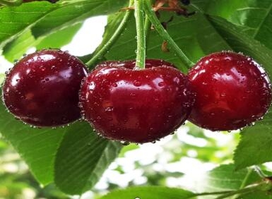 ��ƶ������̬����122�ڣ�