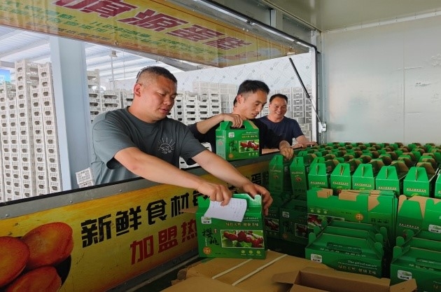 �������˹�����̬����169�ڣ�