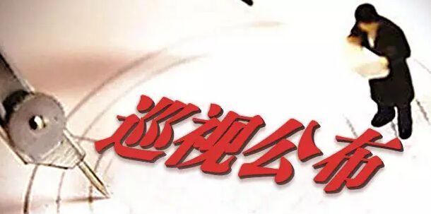 �й�������ҵ�ʲ���Ӫ��˾��ί  ����Ѳ����������Ĵ���