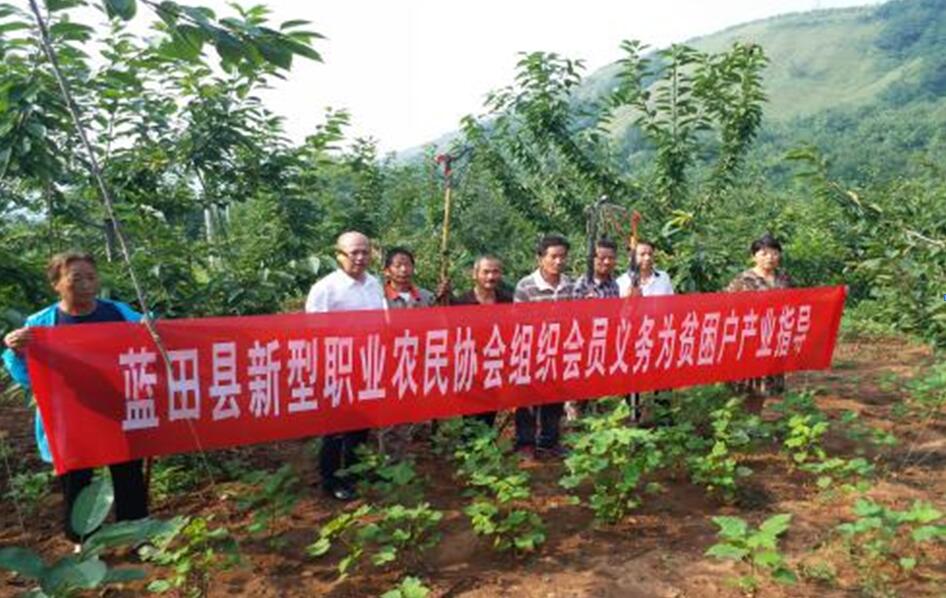 ��ƶ������̬������ʮ���ڣ�