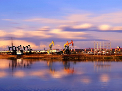 ������ʢ��40���꣺���ۡ�����ʢ�������� �й���ҵ������