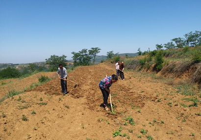 ��ƶ������̬���ڰ�ʮ���ڣ�