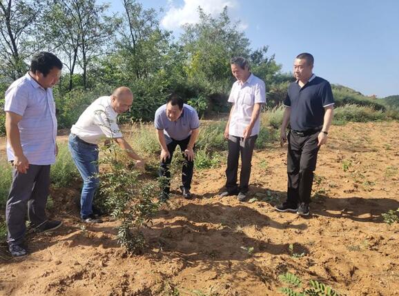 ��Ը����������м��ŷ�ƶ����