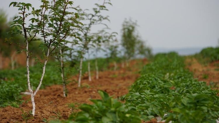 �й���ί��ί�����������һ�з����쵼���������������������塰���Ų� �����㡱����