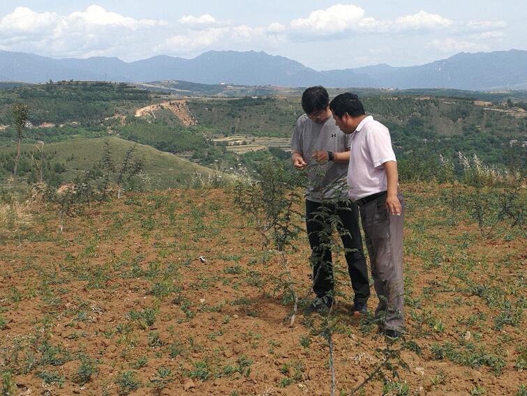 ��ƶ������̬����110�ڣ�